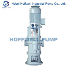 CE Approved 2W. W6.9 Vertical Twin Screw Pump